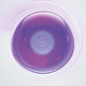 cellculture-basics cellculture-basics