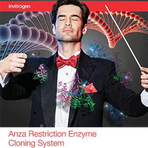 restriction-enzyme-system restriction-enzyme-system