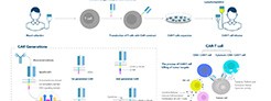 23223_Resources_4 CAR-T Cells in Cancer Therapy