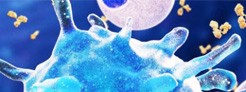 23223_Resources_5 Cytokines for Macrophage Activation & Polarization