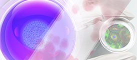 Thermo Scientific Cell Culture Solutions Thermo Scientific Cell Culture Solutions
