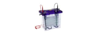 15488_electrophesis Electrophoresis