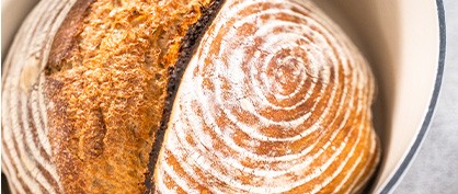 Fermentation Fundamentals: The Science of Sourdough Bread